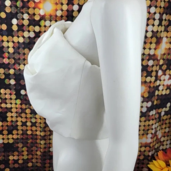 CHICWISH Satin-Like Strapless Crop Top - Picture 3 of 6